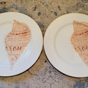 May include: Two white ceramic plates each feature a large, detailed seashell design in shades of peach and brown. The plates are round with a wide rim, suitable for serving appetizers or desserts.