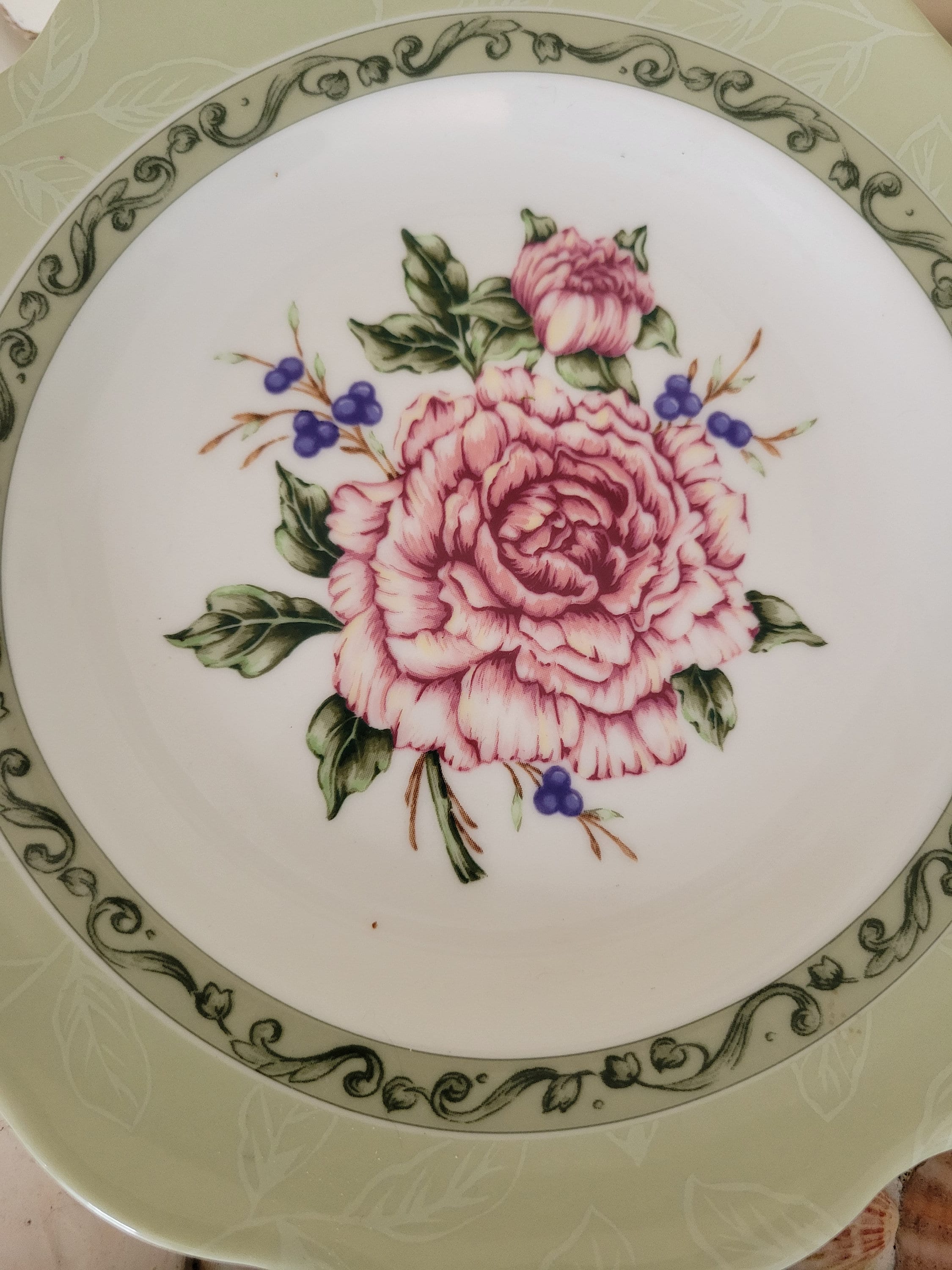 Princess House vintage Garden Luncheon Plates Etsy