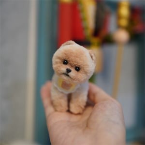 May include: A small, fluffy, light brown toy dog wearing a yellow and white collar. The dog is looking at the camera with its head tilted.