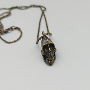 May include: A bronze-colored skull pendant necklace. The skull has detailed features and is suspended from a delicate chain. The necklace is displayed against a white background, highlighting the intricate design of the pendant.