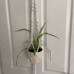 May include: White macrame plant hanger with a white ceramic pot and a green spider plant hanging from a white door.