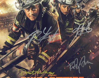 Autographed Poster - T.V. Series - Chicago Fire - Taylor Kinney, Dermot Mulroney - 11x17 + COA