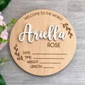Custom Baby Announcement Sign - Personalized Wooden Name and Birth Stats Plaque - Welcome to the World product logo