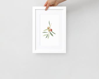 Impresión artística botánica de rama de olivo enmarcada / Decoración de pared A4 / Pintura de olivo en acuarela / Decoración del hogar inspirada en la naturaleza
