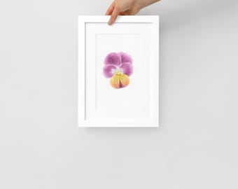 Impresión artística botánica Viola tricolor enmarcada / Decoración de pared A4 / Pintura de acuarela de pensamientos silvestres / Decoración del hogar inspirada en la naturaleza