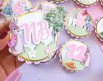 Peter Rabbit Montly Photo Banner, Peter Rabbit Photocards, Milestone Banner, Peter Rabbit 1st Birthday, Peter Rabbit Theme, Easter Milestone