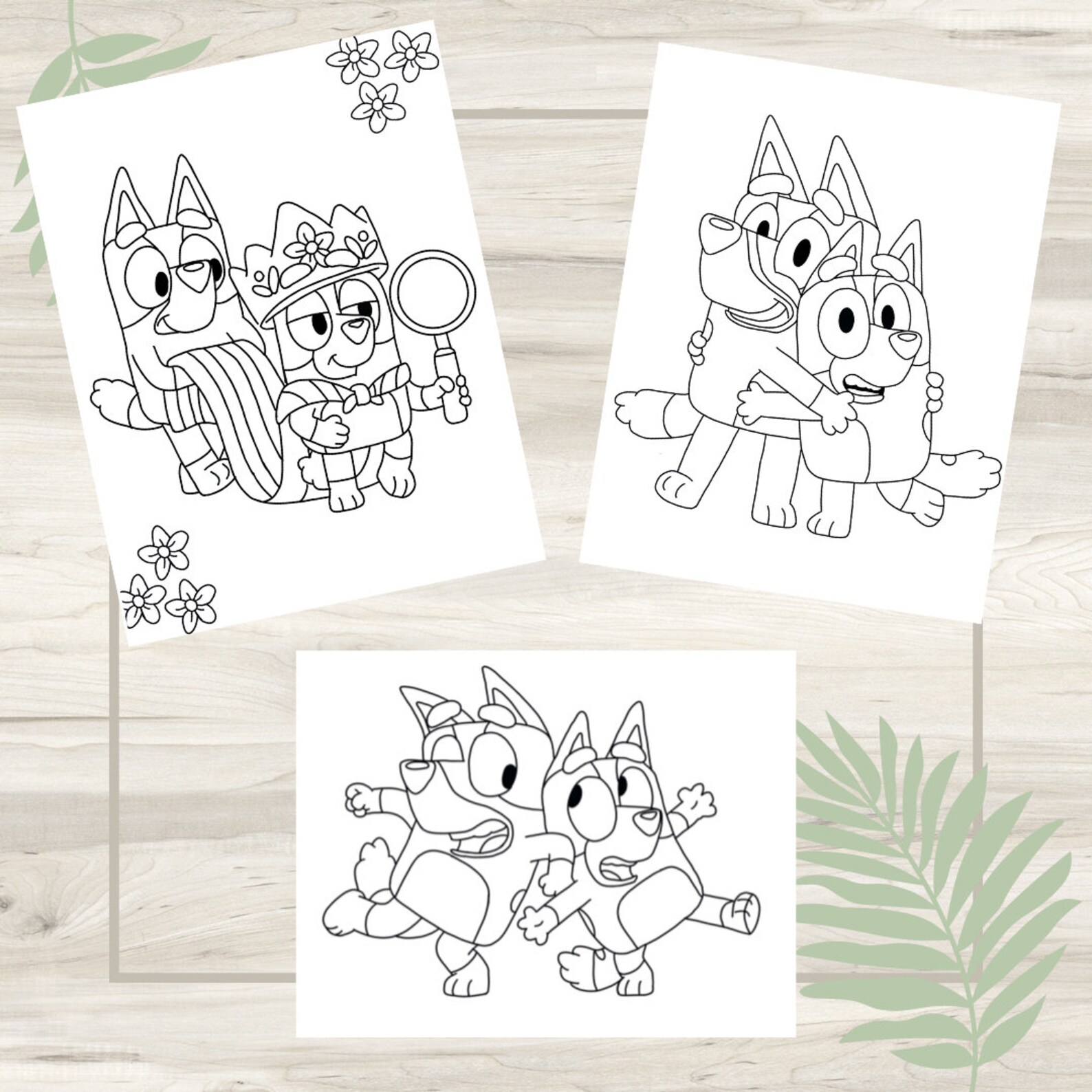 Bluey Bingo Coloring Pages - 3 Pack Digital Download - Etsy