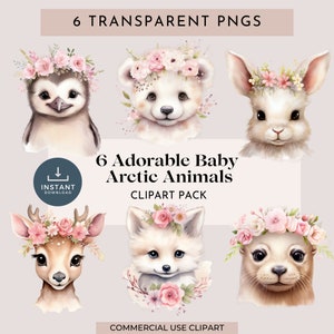 Baby Arctic Animals Watercolor Clipart: 6 PNG Images (Commercial Use)