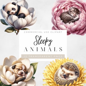 Animaux endormis et pack de cliparts floraux - 12 PNG de fleurs animaux mignons conçus par l'IA pour l'artisanat, usage commercial, téléchargement numérique instantané