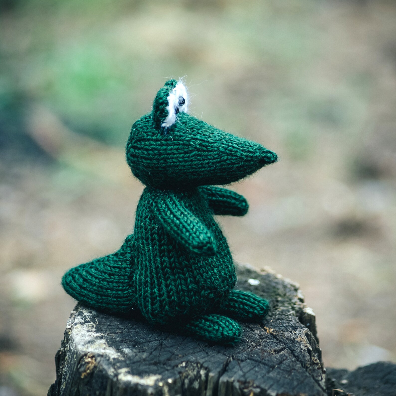 Realistic mini Crocodile KNITTING PATTERN Alligator knitting | Etsy