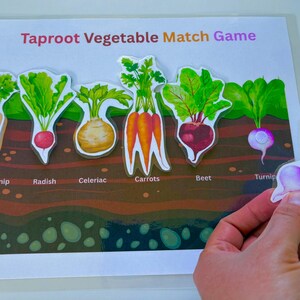 Printable Vegetable Match Game, Nature Study, Montessori, Homeschool Resources, Toddler Activity, Early Learning, Busy Book Page, Preschool