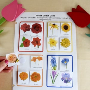 Preschool Printable Flower Colour Matching Game, Montessori inspired, Homeschool Resources, Busy Book Page, Toddler Activity image 9