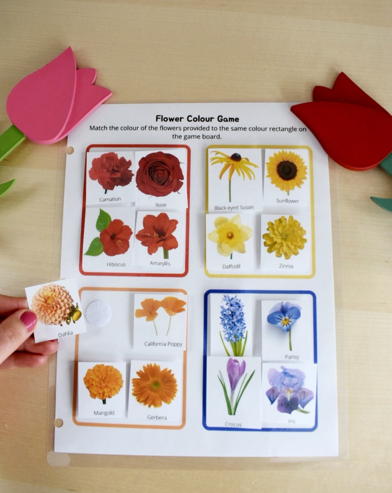 Preschool Printable Flower Colour Matching Game, Montessori inspired, Homeschool Resources, Busy Book Page, Toddler Activity image 9