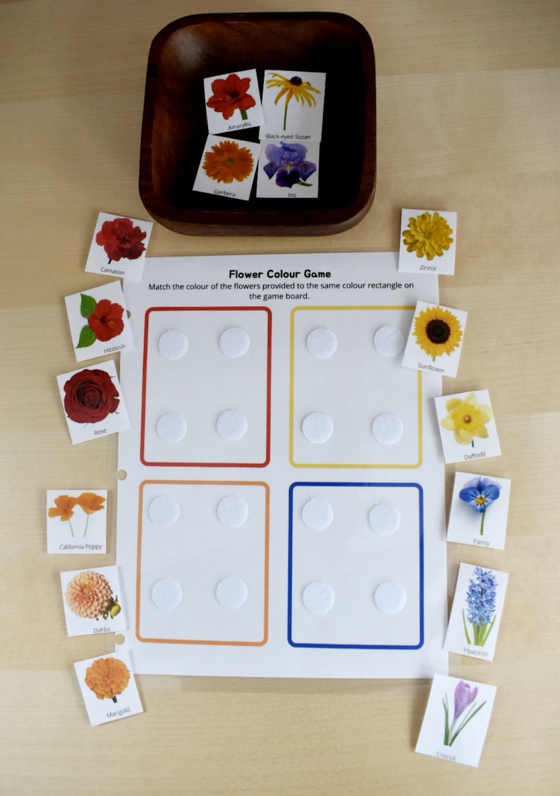 Preschool Printable Flower Colour Matching Game, Montessori inspired, Homeschool Resources, Busy Book Page, Toddler Activity image 7