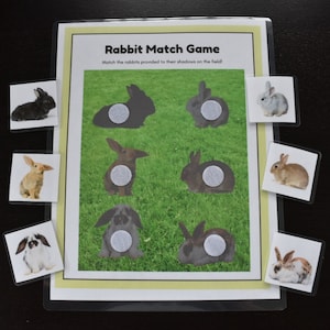 Druckbares Hasen-Match-Spiel, Montessori-inspiriert, Naturstudie, Kleinkind-Arbeitsblatt, Homeschool-Ressourcen, Beschäftigte Buchseite, Lernbinder