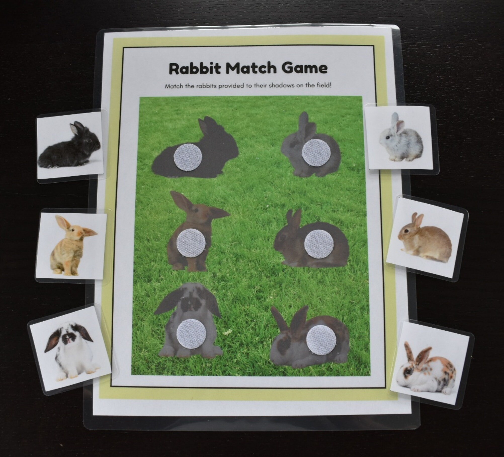 Printable Rabbit Match Game, Montessori Inspired, Nature Study, Toddler ...