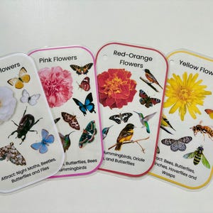 Printable Flower Color To Pollinator Matching Cards, Pollinator Attraction Cards, Nature Study, Montessori Resources, Forest School, Botany