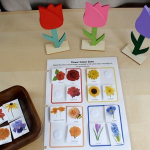 Preschool Printable Flower Colour Matching Game, Montessori inspired, Homeschool Resources, Busy Book Page, Toddler Activity image 5