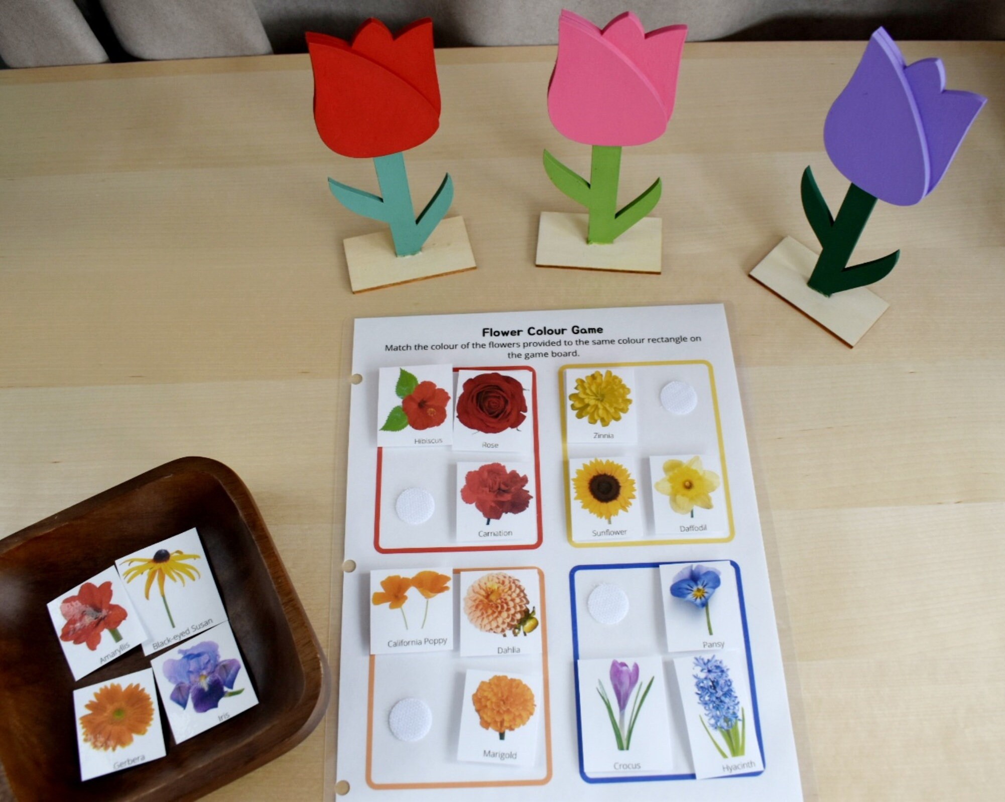Preschool Printable Flower Colour Matching Game, Montessori Inspired