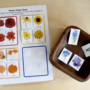 Preschool Printable Flower Colour Matching Game, Montessori inspired, Homeschool Resources, Busy Book Page, Toddler Activity image 2