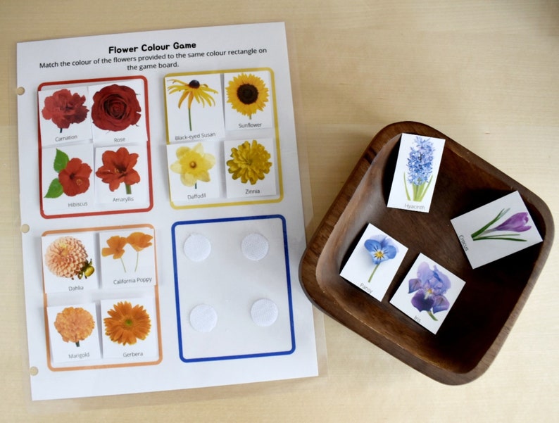 Preschool Printable Flower Colour Matching Game, Montessori inspired, Homeschool Resources, Busy Book Page, Toddler Activity image 2