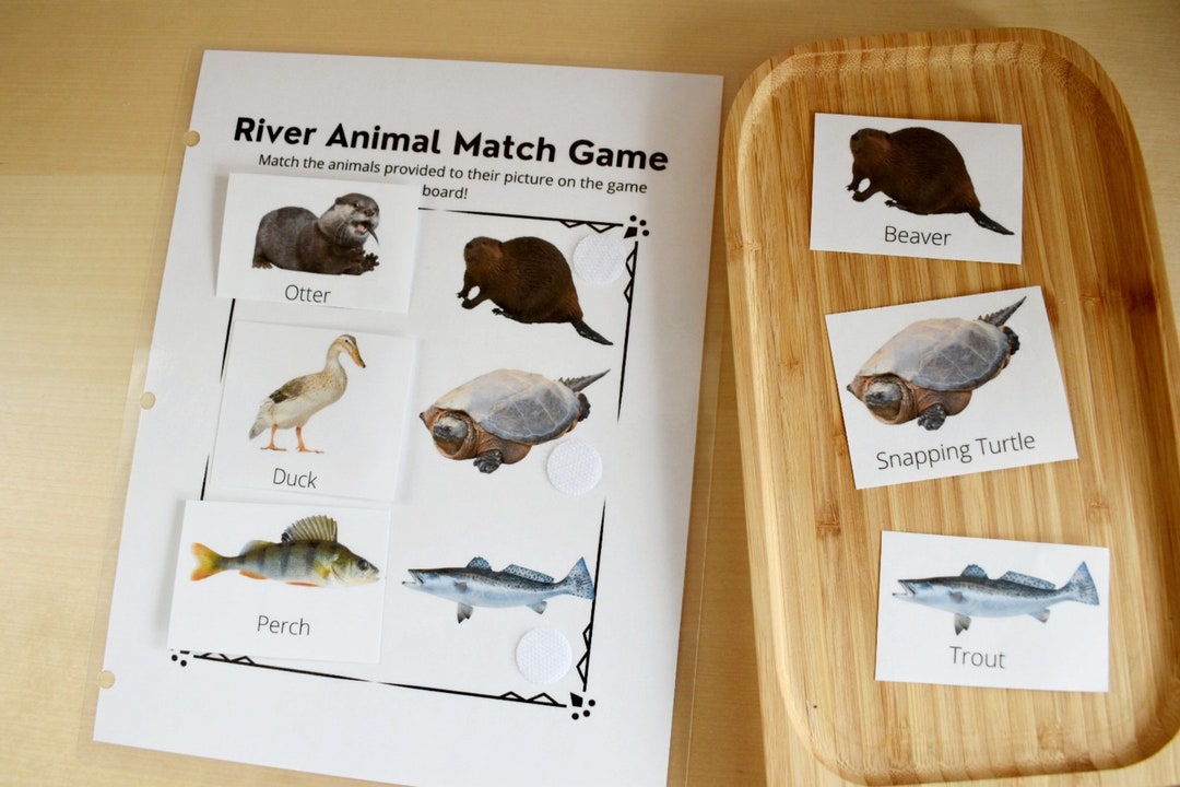 River Animals Matching Game, Preschool Printable Busy Book Page ...