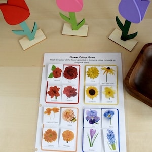 Preschool Printable Flower Colour Matching Game, Montessori inspired, Homeschool Resources, Busy Book Page, Toddler Activity image 3