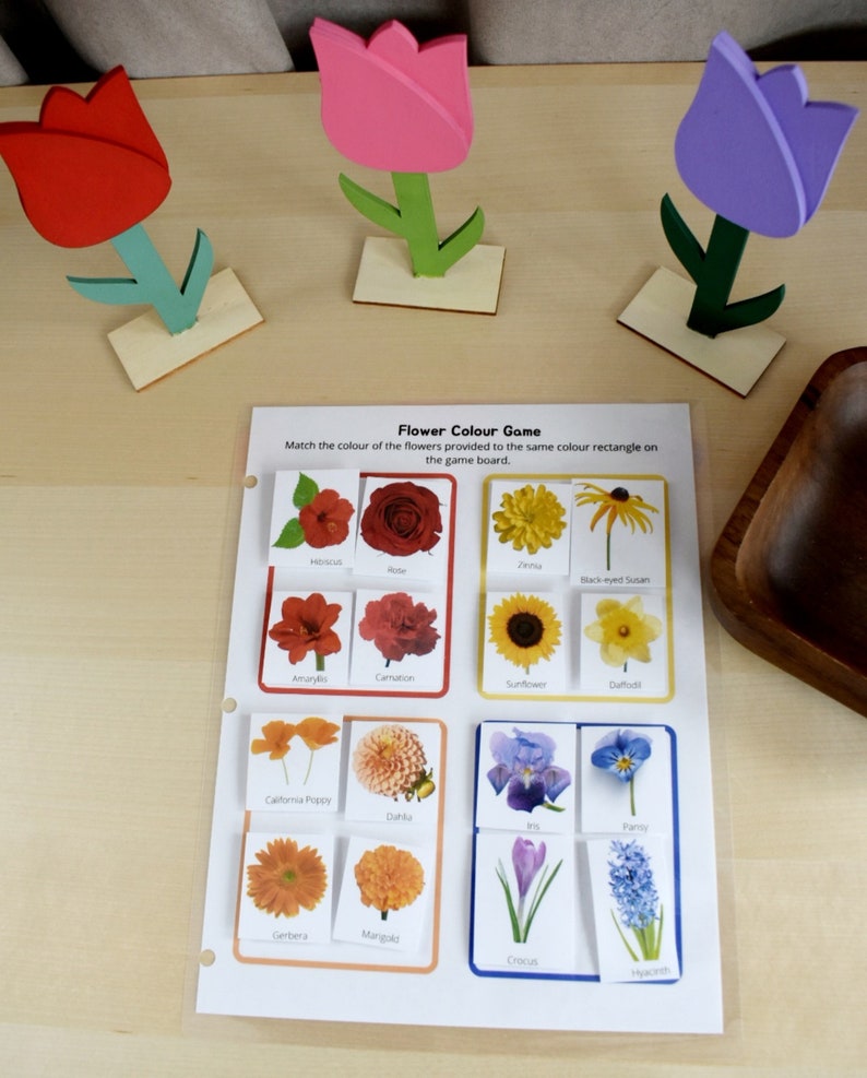 Preschool Printable Flower Colour Matching Game, Montessori inspired, Homeschool Resources, Busy Book Page, Toddler Activity image 3
