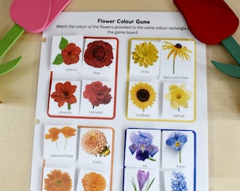 Voorschoolse afdrukbare bloemkleurmatchingspel, Montessori geïnspireerd, Homeschool-bronnen, drukke boekenpagina, peuteractiviteit