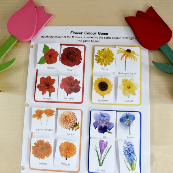Preschool Printable Flower Colour Matching Game, Montessori inspired, Homeschool Resources, Busy Book Page, Toddler Activity