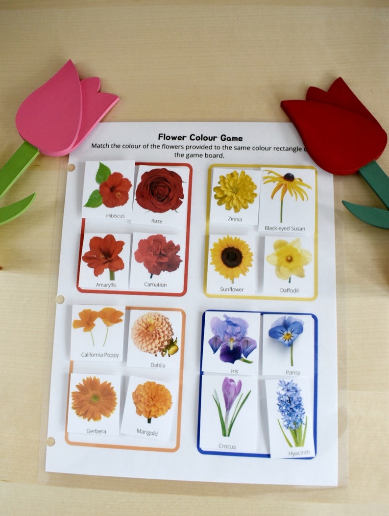 Preschool Printable Flower Colour Matching Game, Montessori inspired, Homeschool Resources, Busy Book Page, Toddler Activity image 1