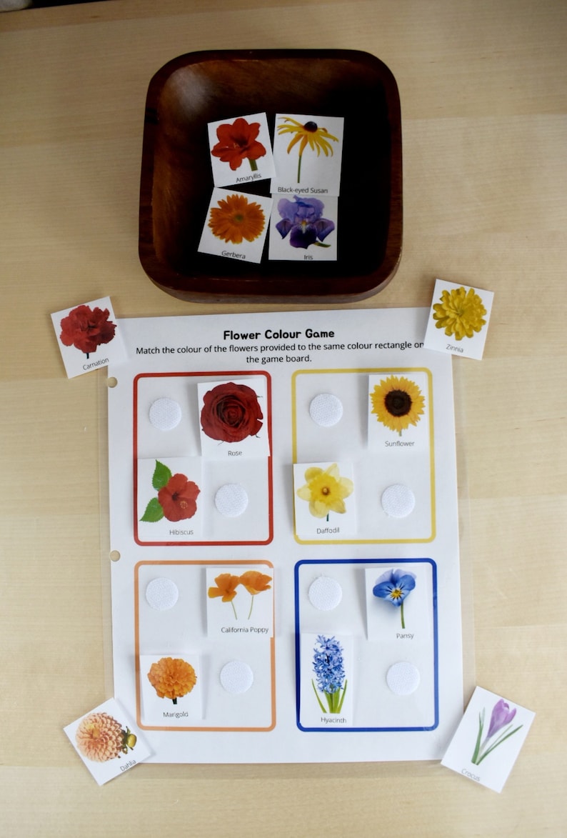 Preschool Printable Flower Colour Matching Game, Montessori inspired, Homeschool Resources, Busy Book Page, Toddler Activity image 8