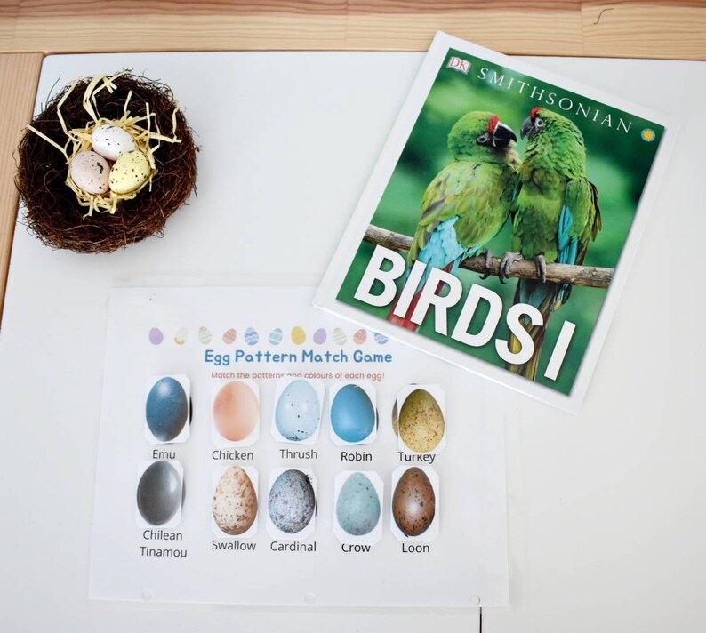 Egg Pattern Match Worksheet: Montessori Homeschool Printable (PDF) - Etsy