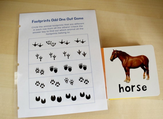 Preschool Animal Footprints Game Printable Busy Book Page - Etsy Preschool Animal Footprints Game Printable Busy Book Page - Etsy
