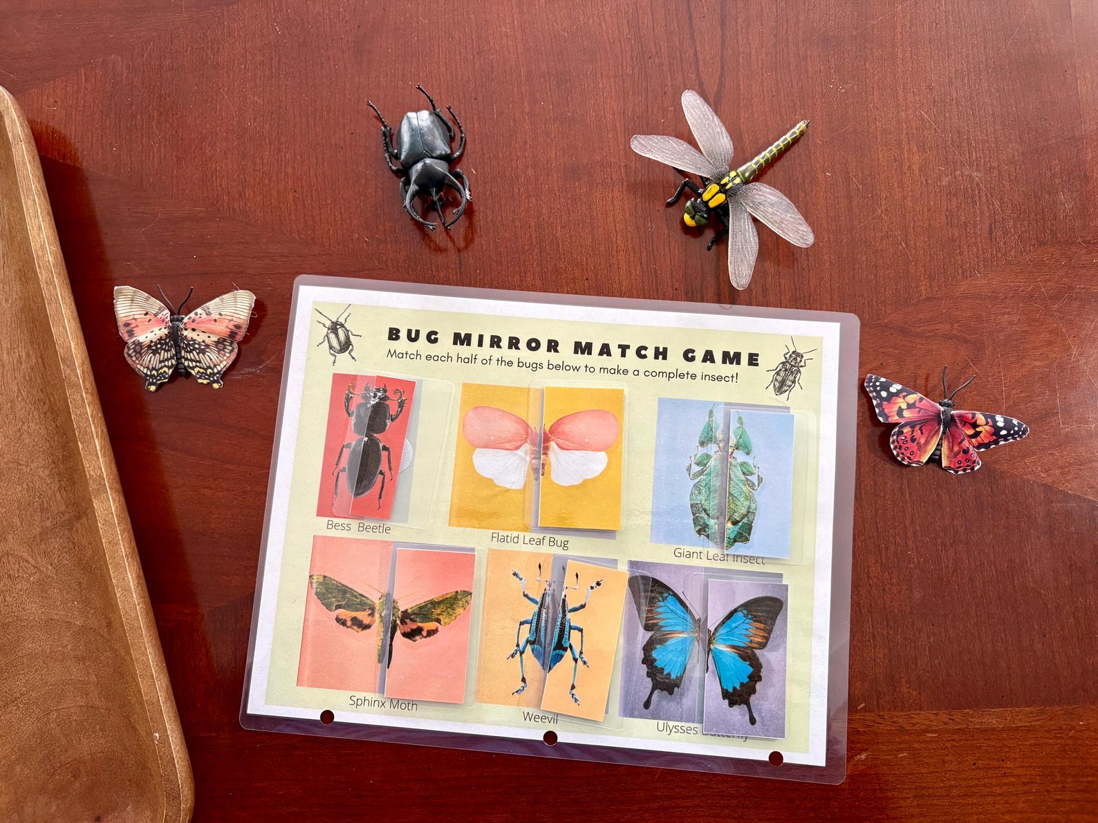 Printable Bug Mirror Match Game: Nature Study Worksheet (PDF) - Etsy
