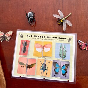 Puede incluir: Un juego educativo Bug Mirror Match Game con ilustraciones coloridas de insectos, incluyendo un escarabajo Bess, una chinche de hoja de Flandre, un insecto de hoja gigante, una polilla esfinge, un gorgojo y un Ulises. El juego instruye a los jugadores a hacer coincidir cada mitad de los insectos de abajo para hacer un insecto completo.