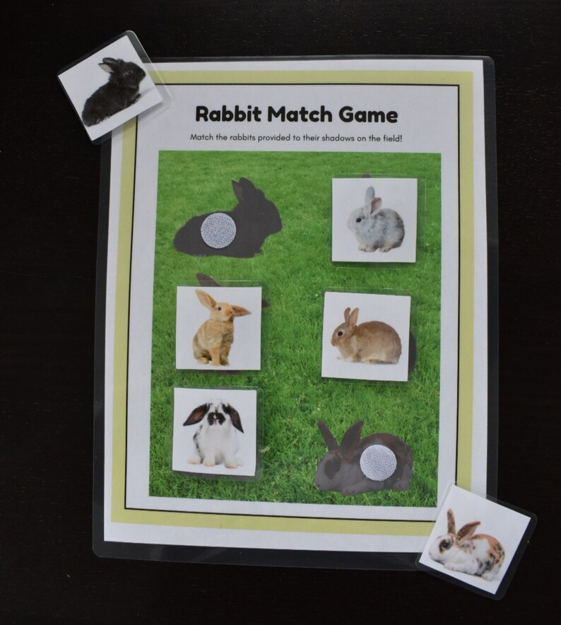 Printable Rabbit Match Game, Montessori Inspired, Nature Study, Toddler ...