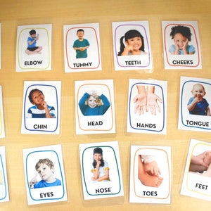 Flashcards préscolaires, Flashcards pour parties du corps, Flashcards Montessori, Ressources pour l’enseignement à domicile