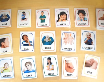 Preschool Flashcards, Parts of Body Flashcards, Montessori Flashcards, Homeschool Resources