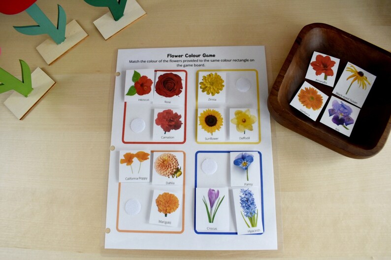 Preschool Printable Flower Colour Matching Game, Montessori inspired, Homeschool Resources, Busy Book Page, Toddler Activity image 4