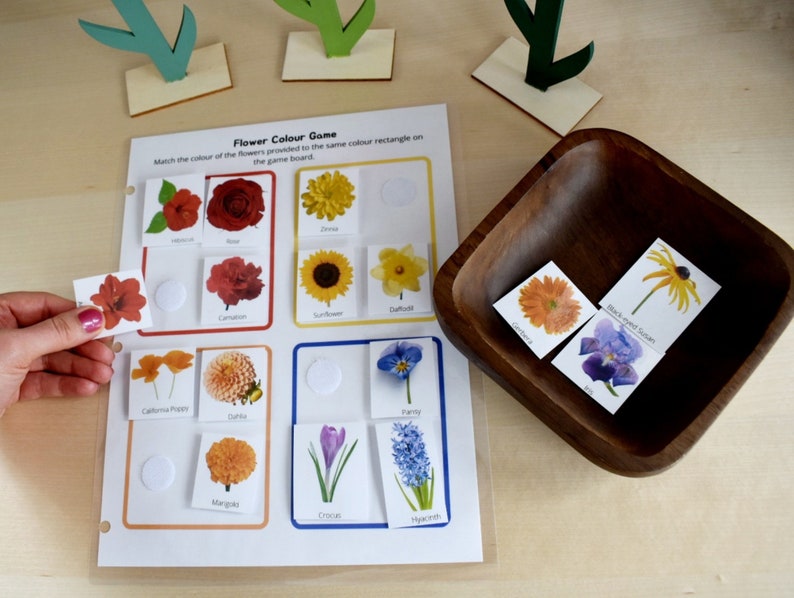 Preschool Printable Flower Colour Matching Game, Montessori inspired, Homeschool Resources, Busy Book Page, Toddler Activity image 6