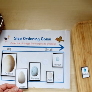 May include: Educational game featuring bird eggs of varying sizes. The "Size Ordering Game" includes cards with eggs labeled Ostrich, Goose, Vulture, Owl, Thrush, Robin, and Chicken. A nest with speckled eggs is in the upper left. A wooden tray is on the right.