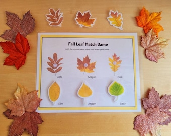 Pode incluir: Um jogo educativo com tema de outono intitulado "Fall Leaf Match Game". O tabuleiro apresenta ilustrações de diferentes tipos de folhas: Freixo, Bordo, Carvalho, Olmo, Álamo e Bétula. Folhas brilhantes e de tecido circundam o jogo.