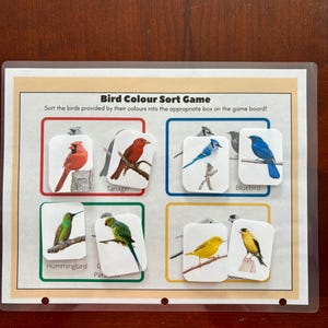 Printable Bird Color Sorting Game: Montessori Homeschool Activity (PDF ...