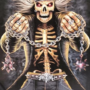 Apocalypse Skeleton Biker  Flag Banner Wall Hanging Tapestry