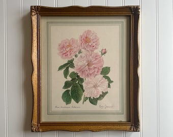 Lámina botánica vintage Rosa damascena Celsiana de Leslie Greenwood, marco dorado ornamentado, decoración de pared.