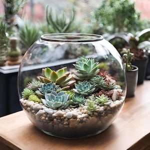 DIY Terrarium Kit: Glass Container, Rocks, Moss - Party Favor