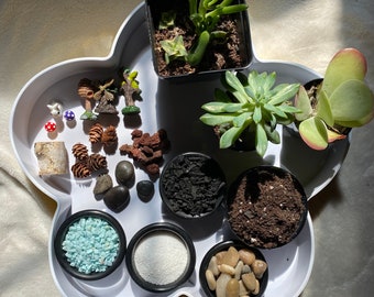 Terrarium Starter Kit