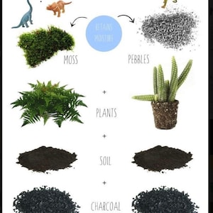 K&ouml;nnte beinhalten: Eine Lehrgrafik mit dem Titel "Layer Your Materials" zeigt die Komponenten f&uuml;r ein Terrarium. Das Bild enth&auml;lt Moos, Kieselsteine, Pflanzen, Erde, Holzkohle und Steine. Der Text gibt die Reihenfolge der Schichtung an. Kleine Dinosaurier-Spielzeuge sind ebenfalls enthalten.