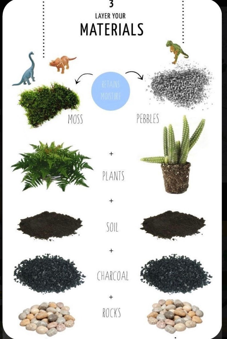 K&ouml;nnte beinhalten: Eine Lehrgrafik mit dem Titel "Layer Your Materials" zeigt die Komponenten f&uuml;r ein Terrarium. Das Bild enth&auml;lt Moos, Kieselsteine, Pflanzen, Erde, Holzkohle und Steine. Der Text gibt die Reihenfolge der Schichtung an. Kleine Dinosaurier-Spielzeuge sind ebenfalls enthalten.